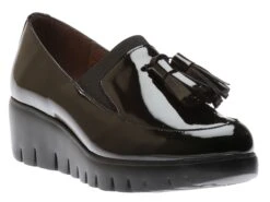 Wonders C3342 Nergo Patent