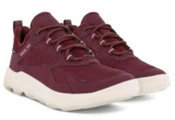 ECCO MX W GT Lace Morillo -Walking On A Cloud ecc82019304d