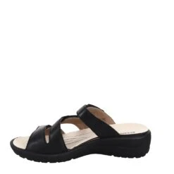 Annecy 04 Black -Walking On A Cloud rom25904 644100d