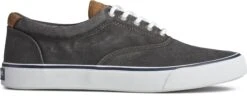 Sperry Striper II CVO Black Canvas Lace-Up Sneaker -Walking On A Cloud spestriperiic01a