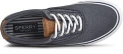 Sperry Striper II CVO Navy Canvas Lace-Up Sneaker -Walking On A Cloud spestriperiic03b