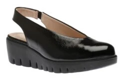 Wonders C33152 Lack Negro